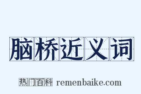 脑桥近义词是什么意思的图片